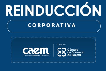 REINDUCCIÓN
